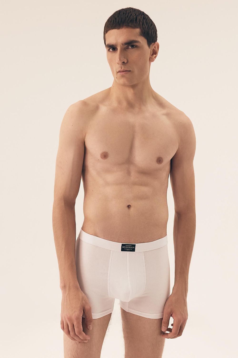  L`ensemble model 209615 Henderson 