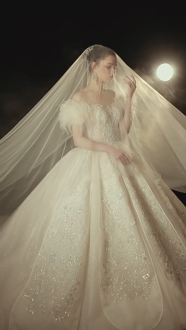 Robe de mariée princesse