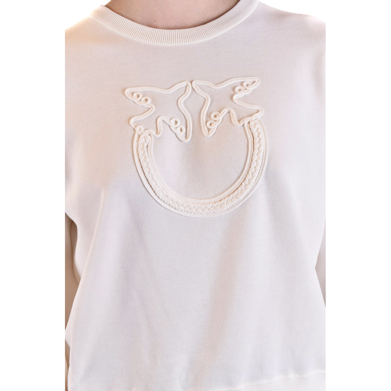 Pinko Femme Sweatshirts