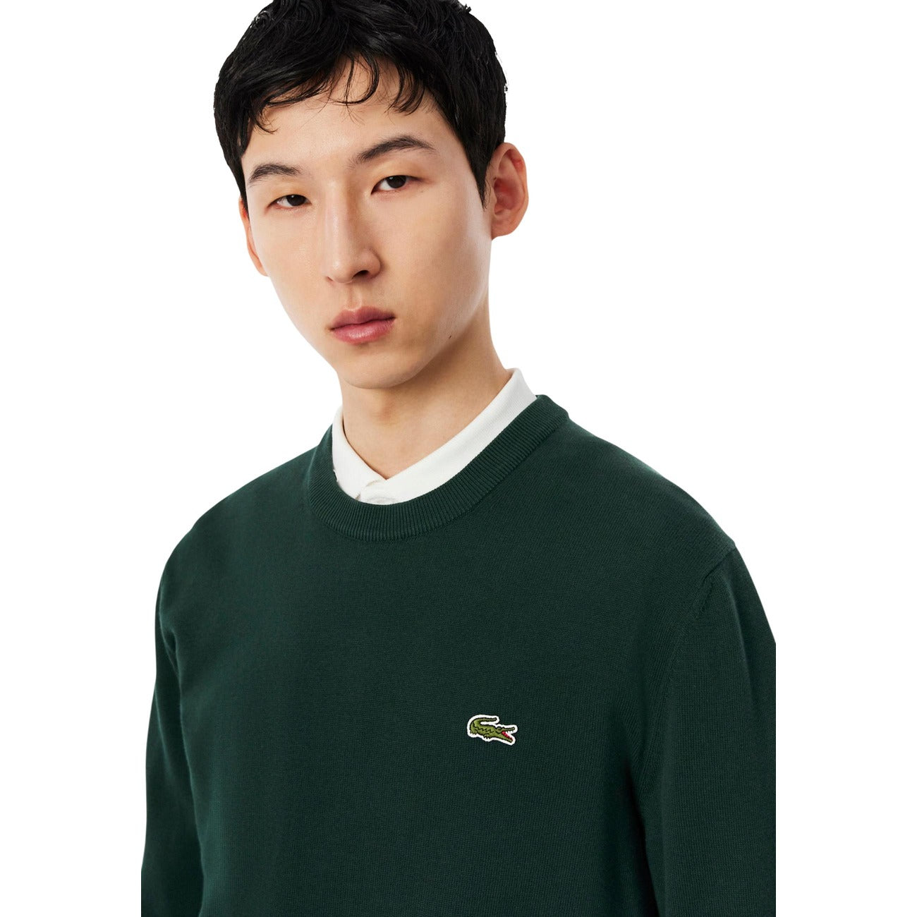 Lacoste Homme Pulls