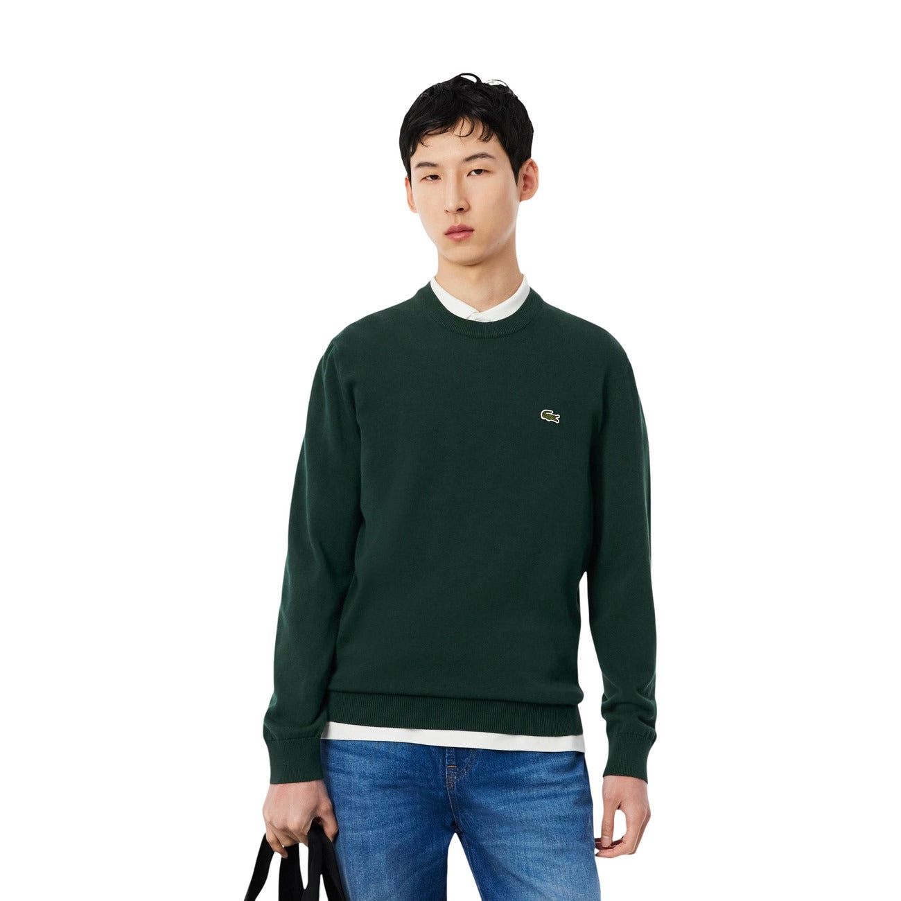 Lacoste Homme Pulls