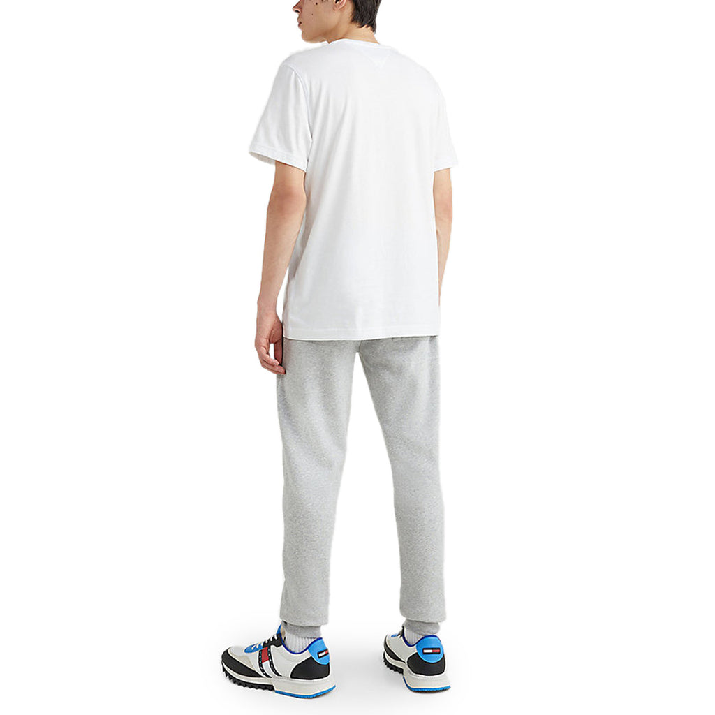 Tommy Hilfiger Homme T-Shirts