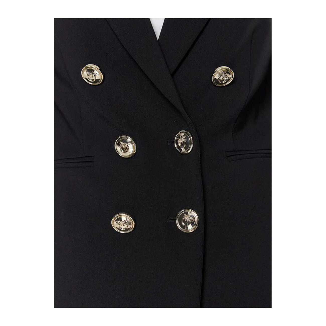 Pinko Femme Jaquettes