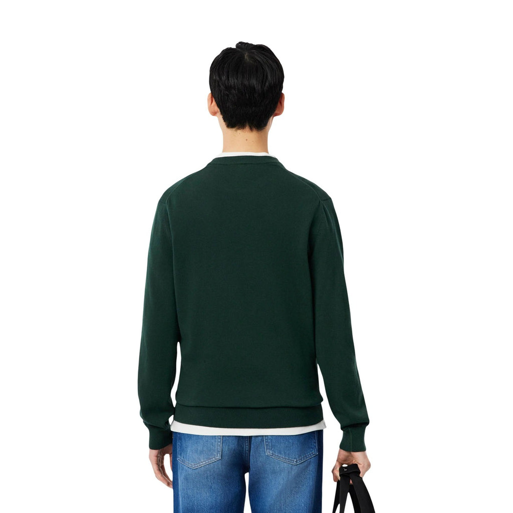 Lacoste Homme Pulls