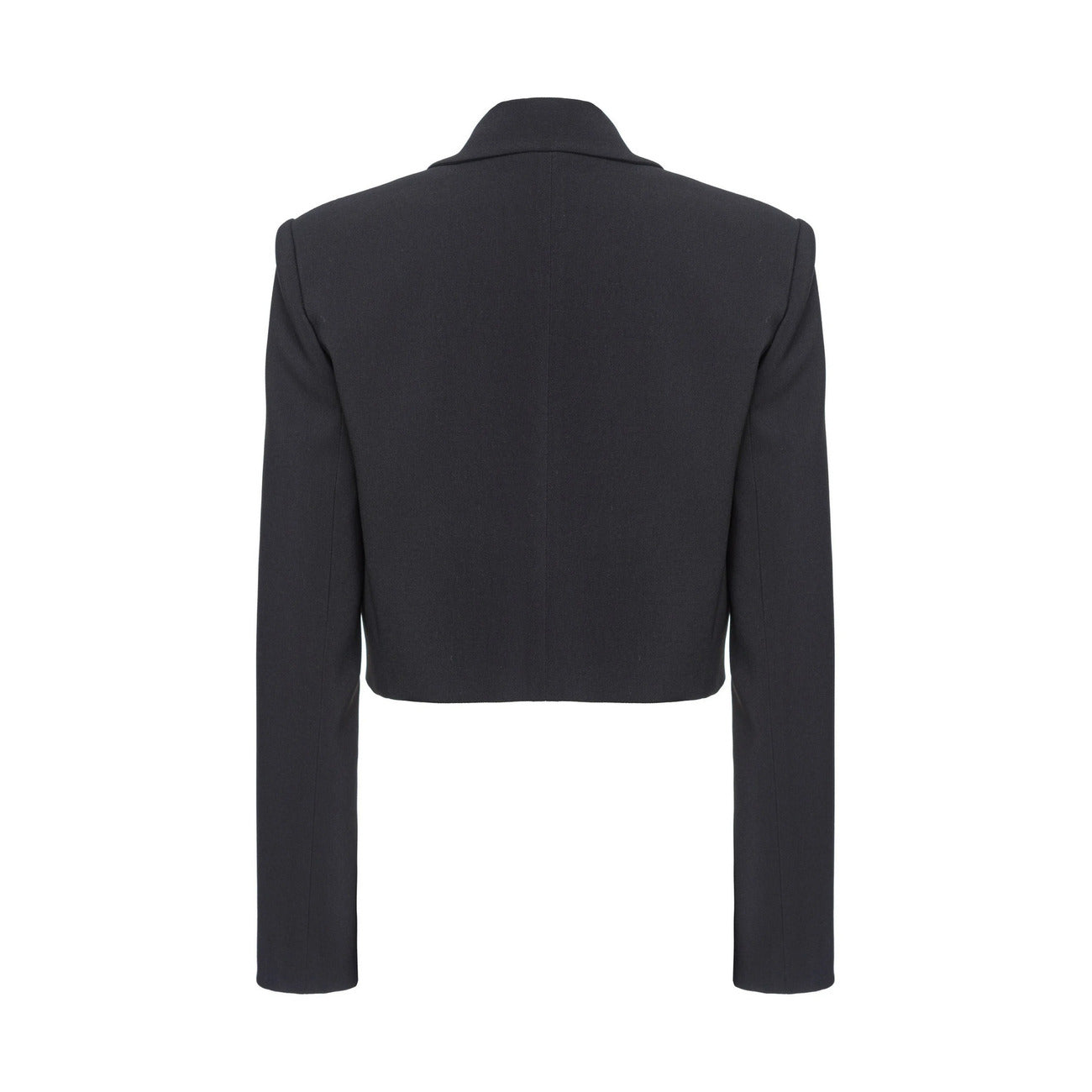 Pinko Femme Jaquettes