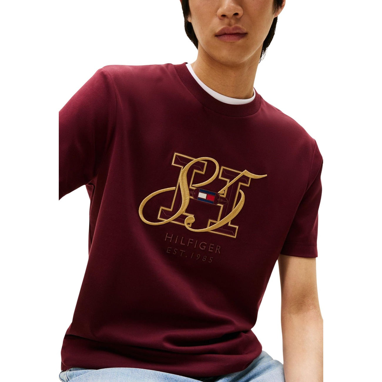 Tommy Hilfiger Homme T-Shirts
