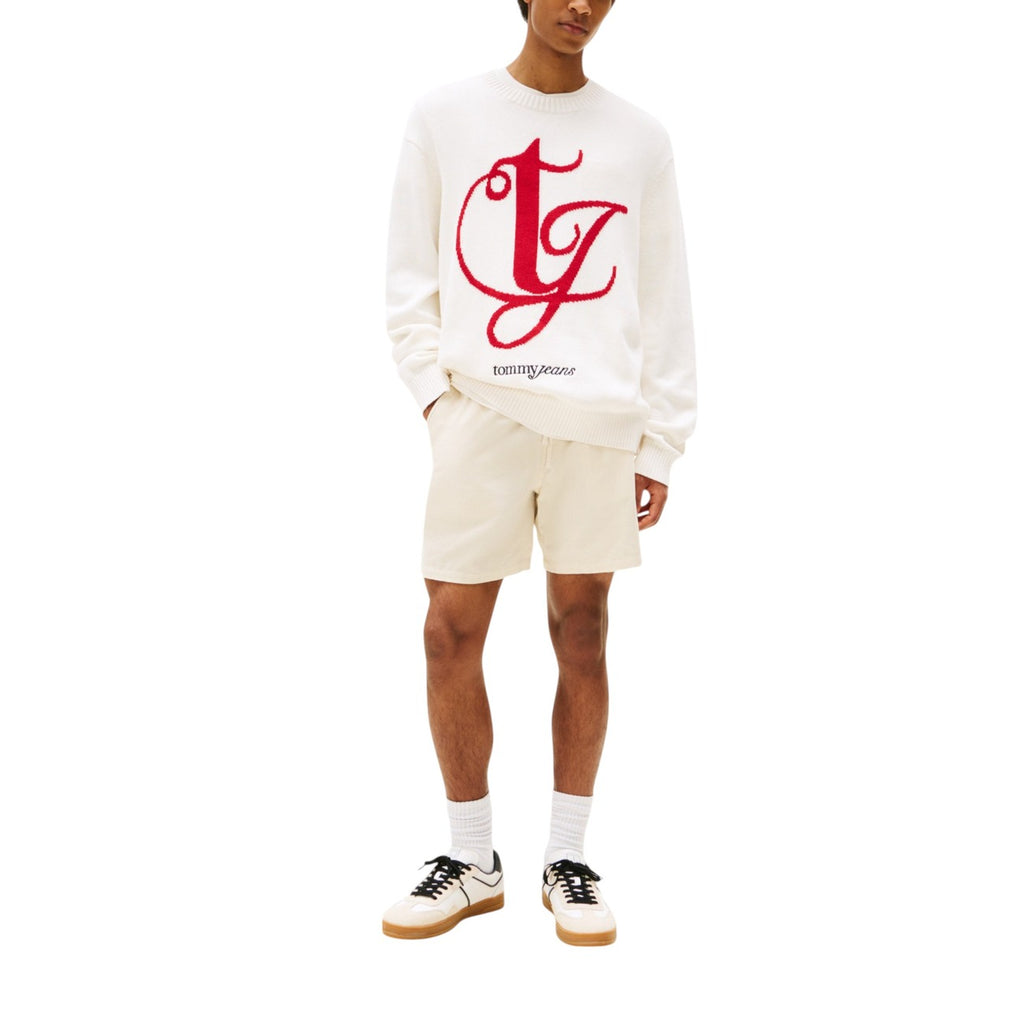 Tommy Hilfiger Jeans Homme Pulls