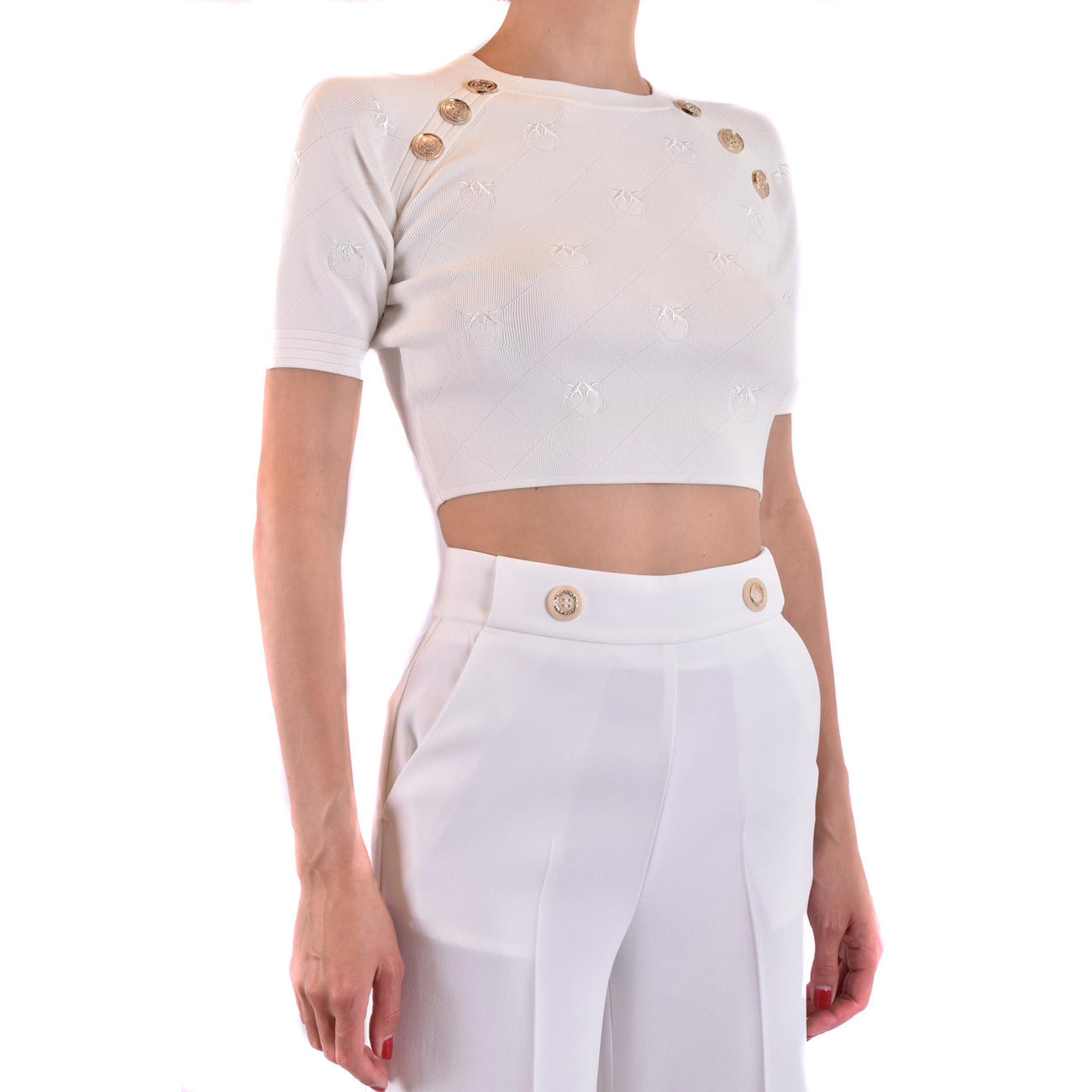 Pinko Femme Pulls